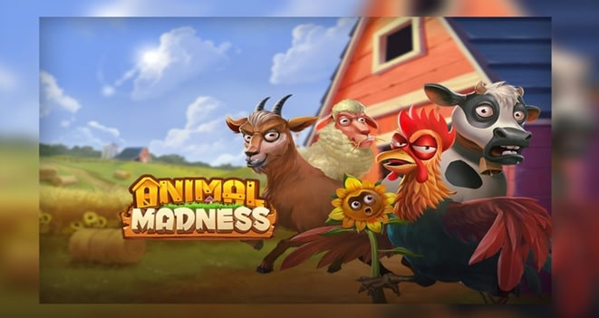 Animal Madness: último lanzamiento de Play’n GO